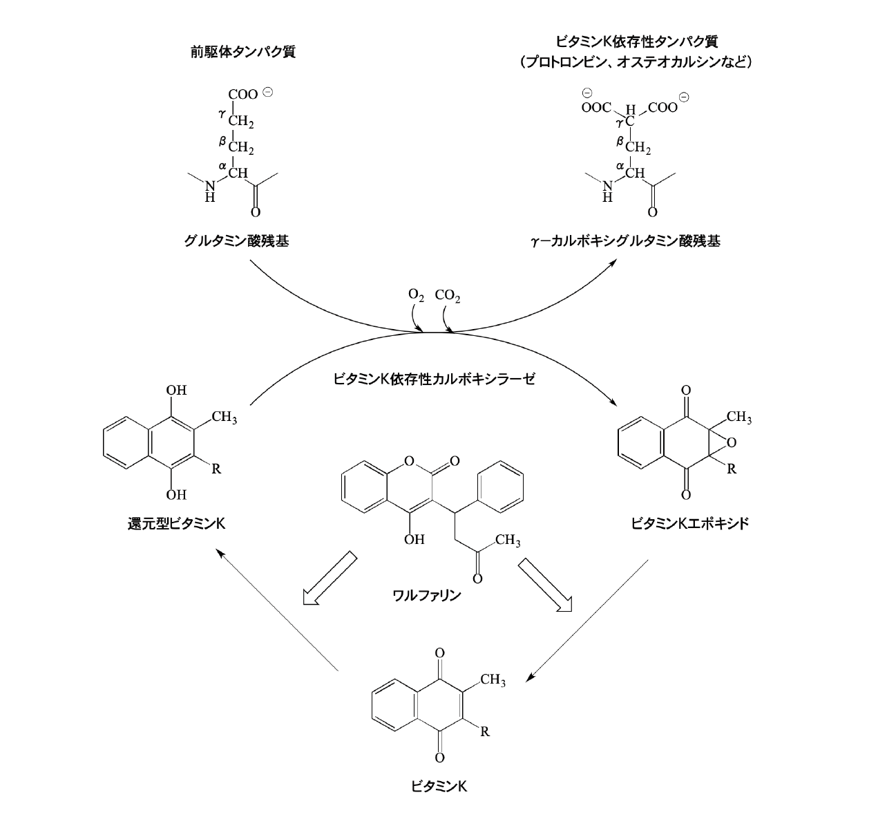 解説画像